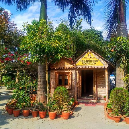 Eden jungle resort Sauraha Exterior foto