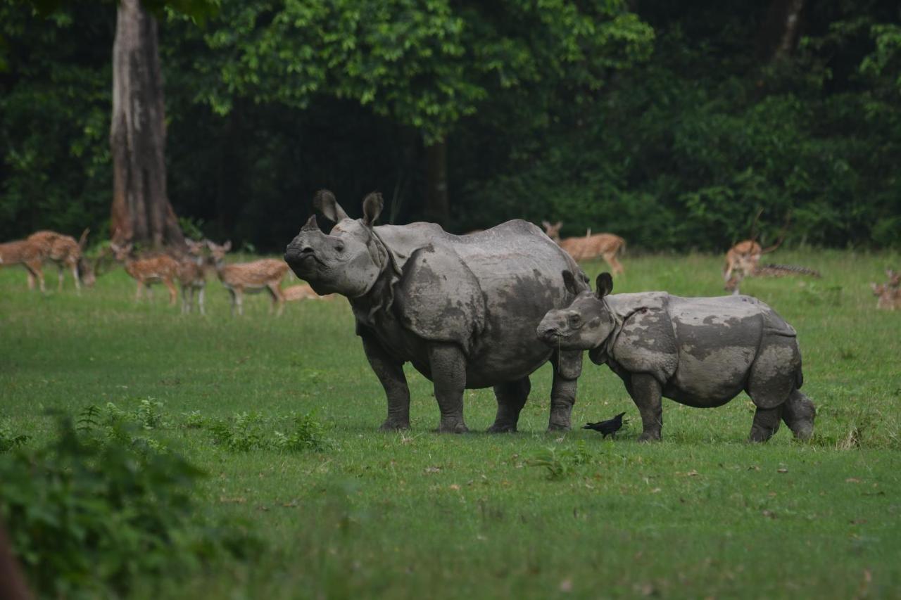 Eden jungle resort Sauraha Exterior foto