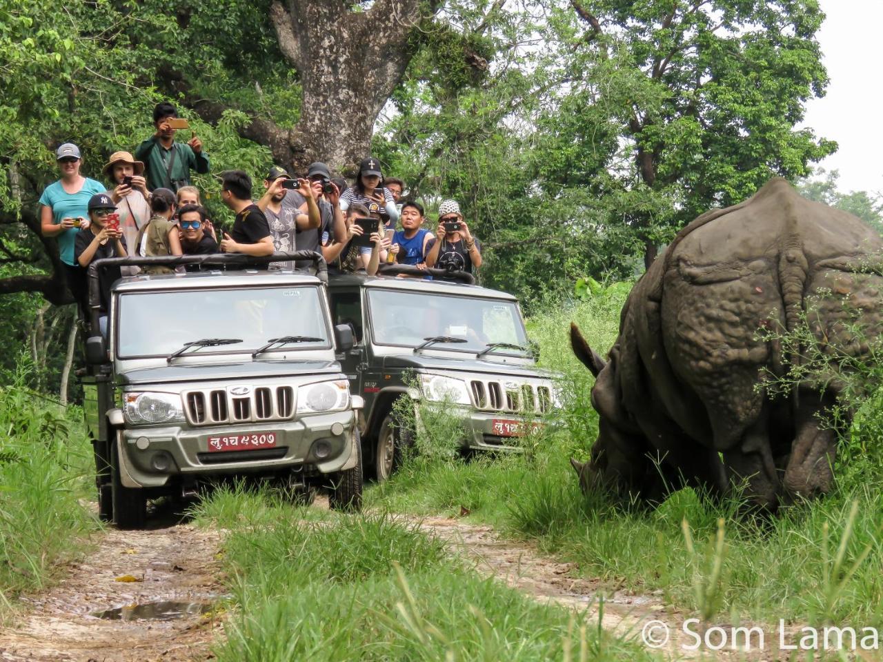 Eden jungle resort Sauraha Exterior foto