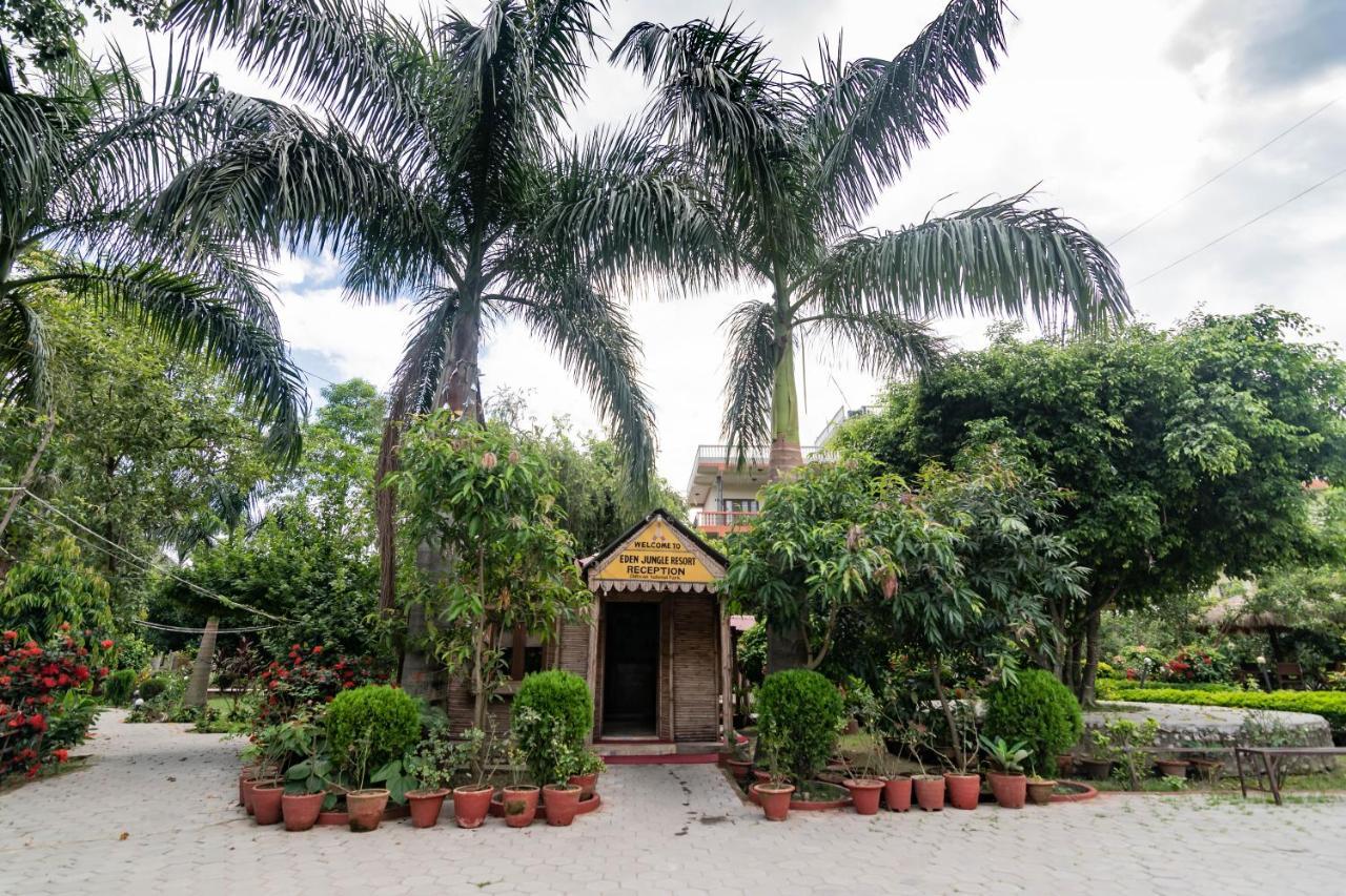 Eden jungle resort Sauraha Exterior foto